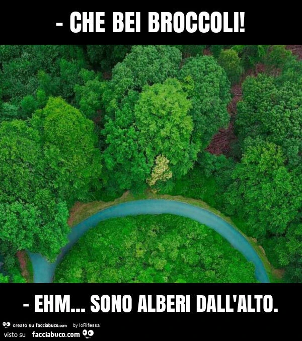 Che bei broccoli! - Ehm… sono alberi dall'alto