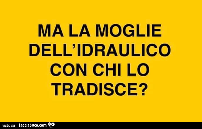 Ma la moglie dell'idraulico con chi lo tradisce?