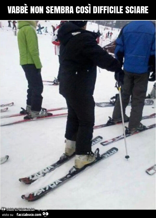 Vabbè non sembra così difficile sciare