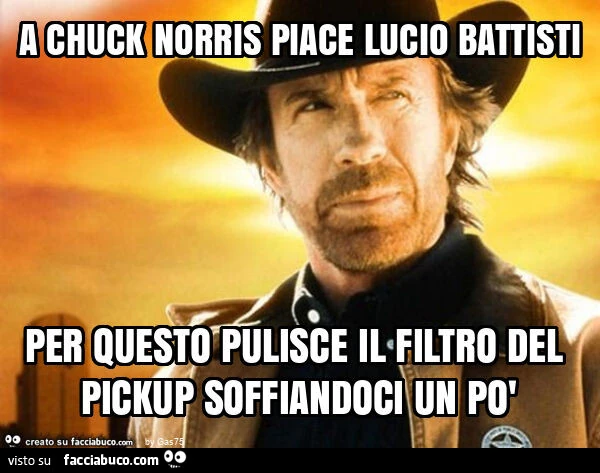 A chuck norris piace lucio battisti per questo pulisce il filtro del pickup soffiandoci un po'