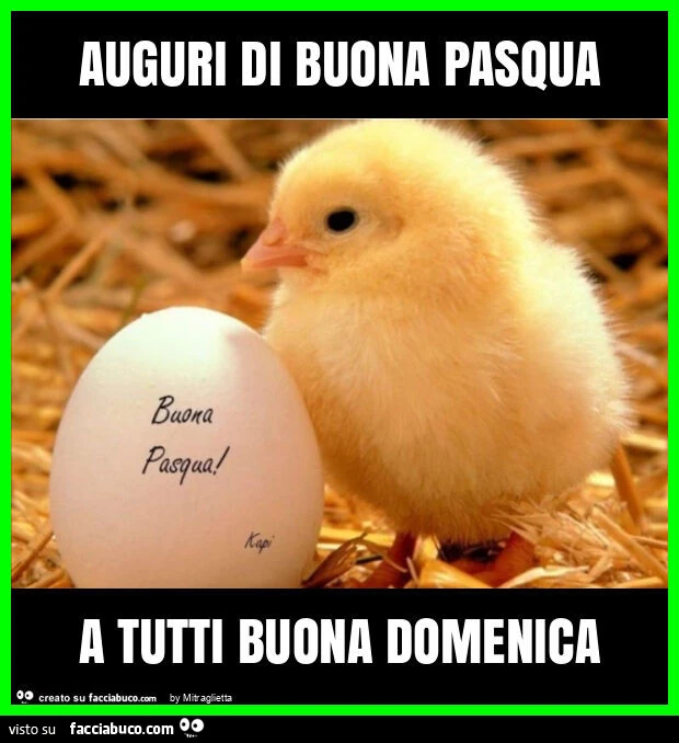 Auguri di buona pasqua a tutti buona domenica