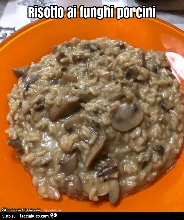 Risotto ai funghi porcini
