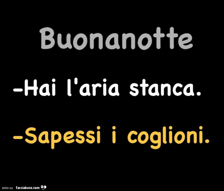 Buonanotte hai l'aria stanca. Sapessi i coglioni