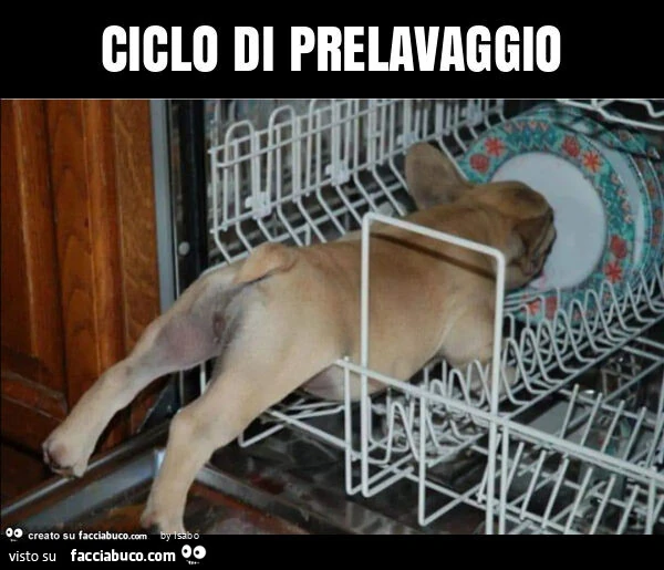 Ciclo di prelavaggio
