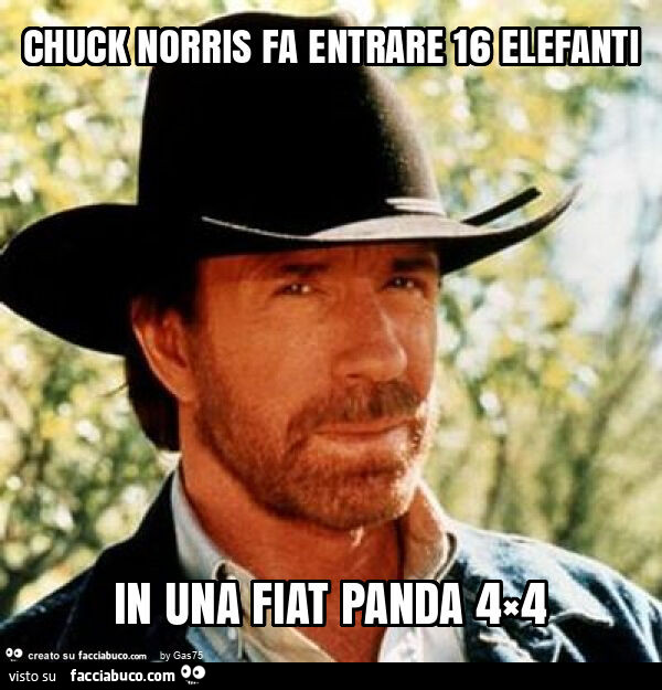 Chuck norris fa entrare 16 elefanti in una fiat panda 4×4