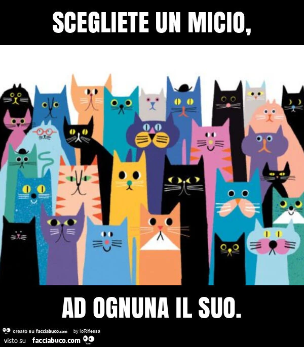 Scegliete un micio, ad ognuna il suo
