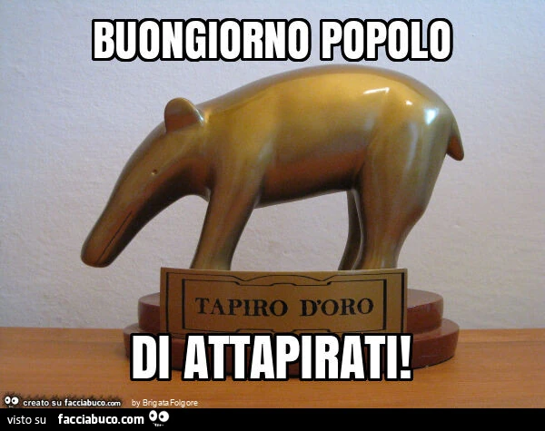 Buongiorno popolo di attapirati