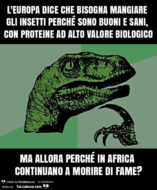 L'europa dice che bisogna mangiare gli insetti perché sono buoni e sani, con proteine ad alto valore biologico ma allora perché in africa continuano a morire di fame?