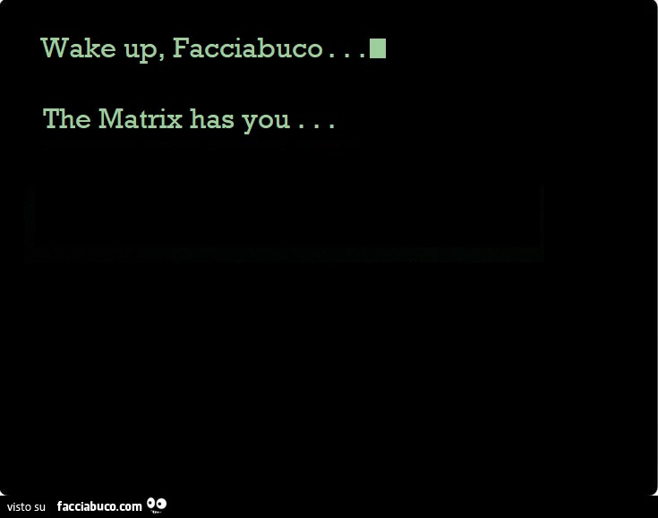 Wake up, facciabuco… the matrix has you