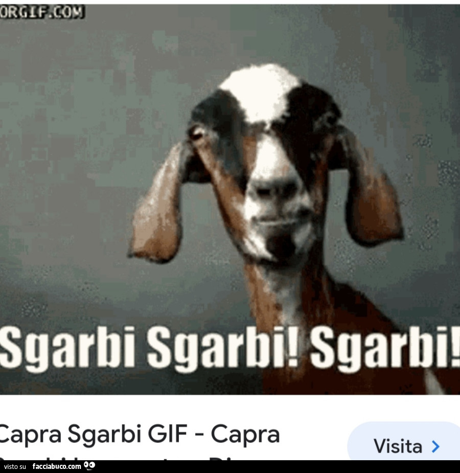 Vaccata