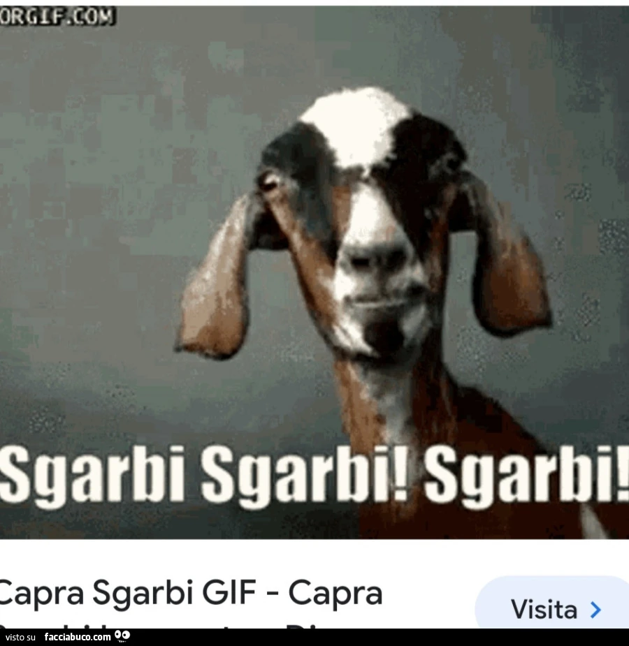 Vaccata