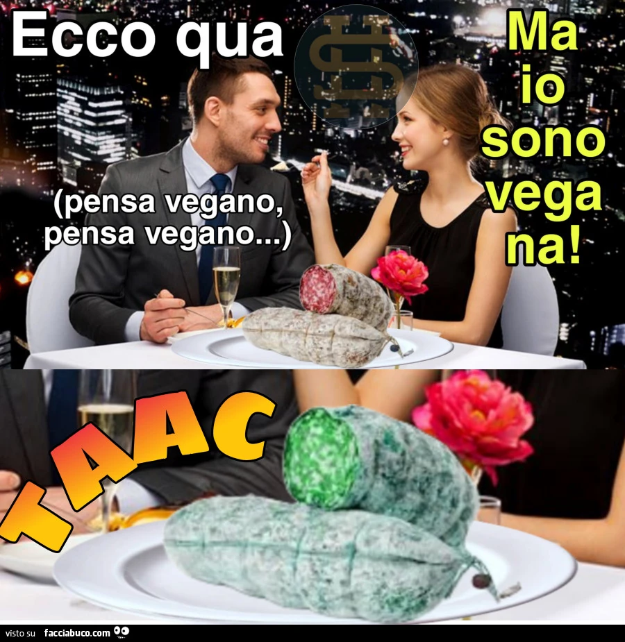 Vaccata