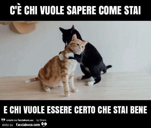 C'è chi vuole sapere come stai e chi vuole essere certo che stai bene