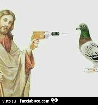 Gesù trapano piccione
