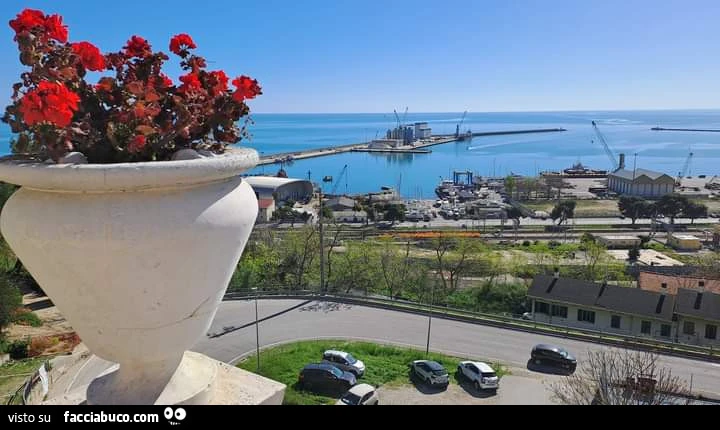 Ortona