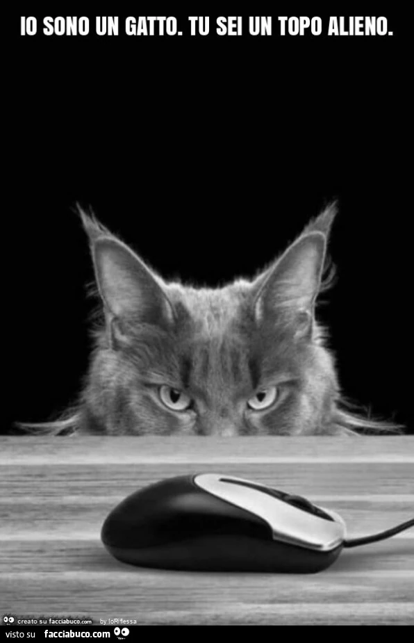 Io sono un gatto. Tu sei un topo alieno