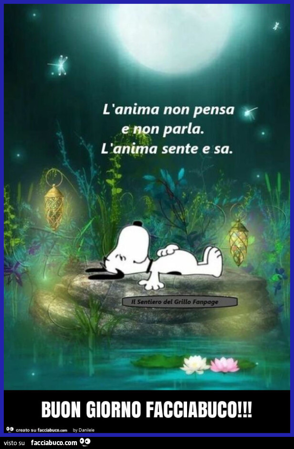 Buon giorno facciabuco