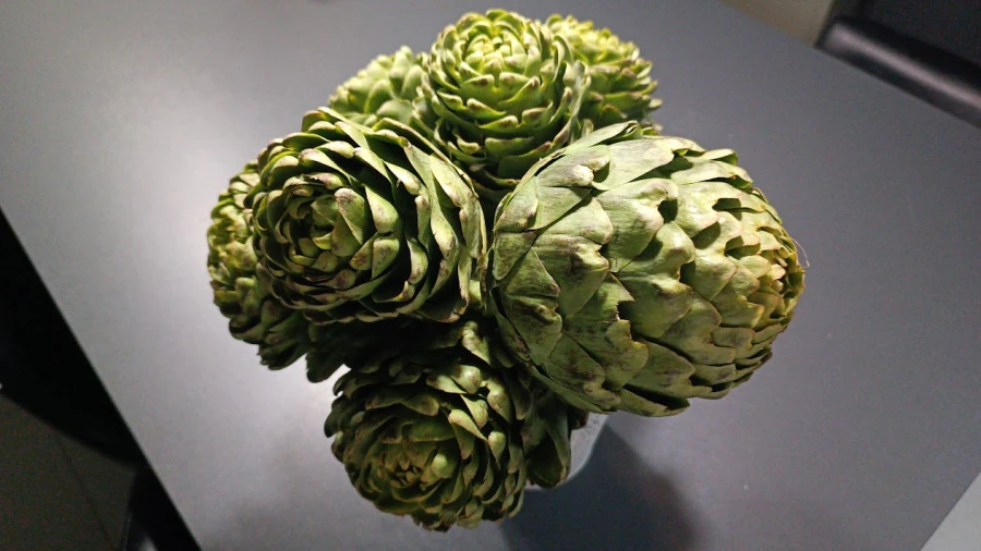 Carciofi