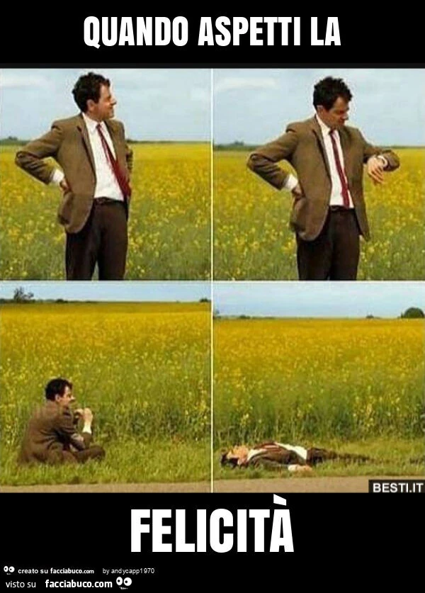 Quando aspetti la felicità