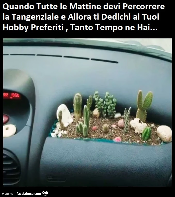 Vaccata