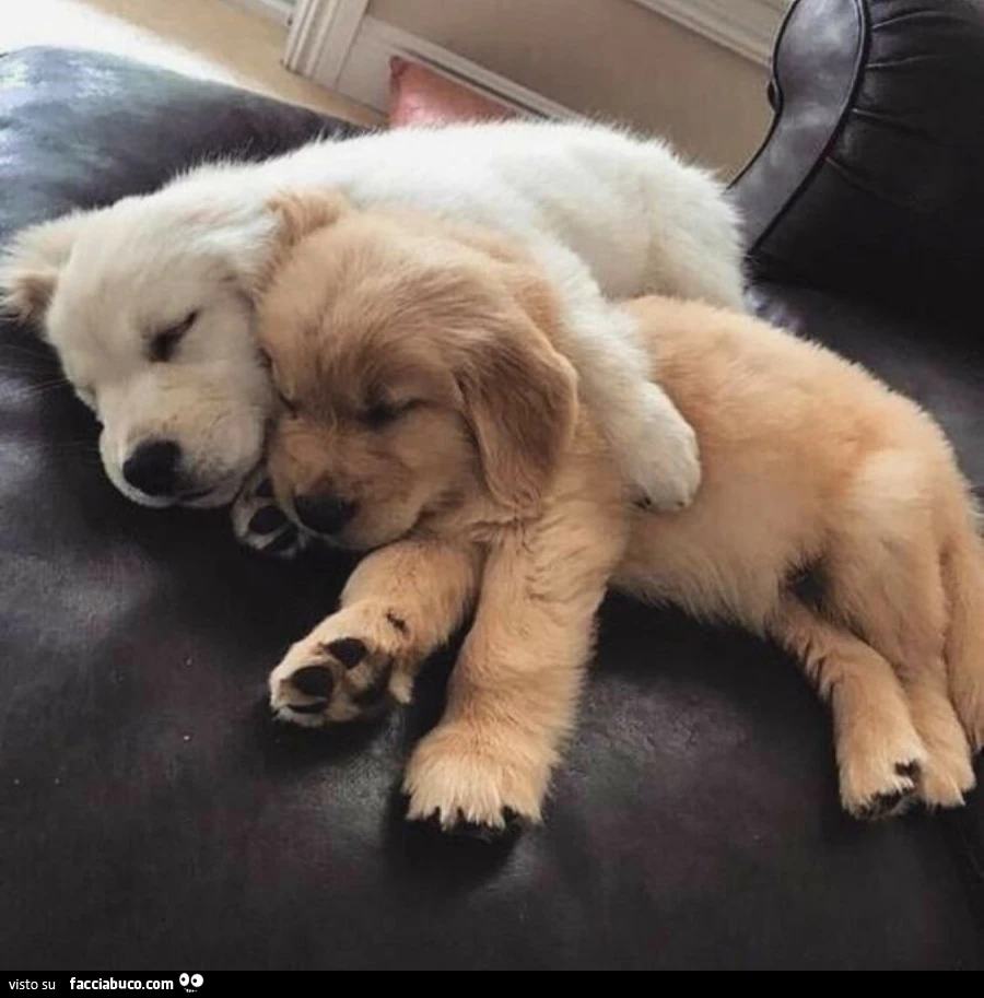 Saluti notte