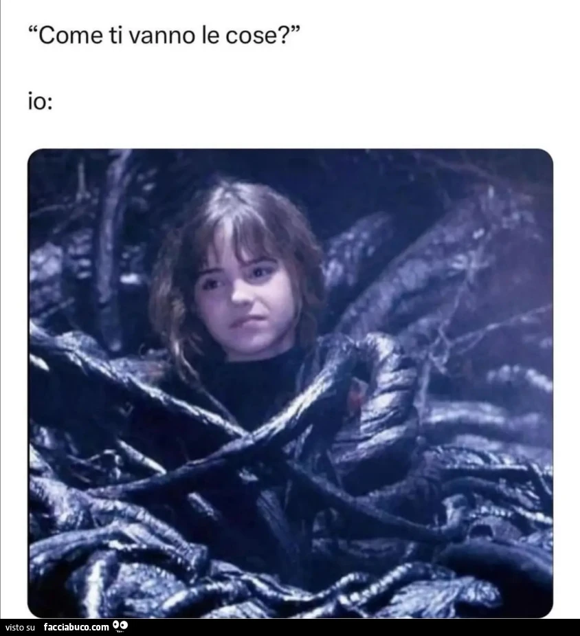 Vaccata
