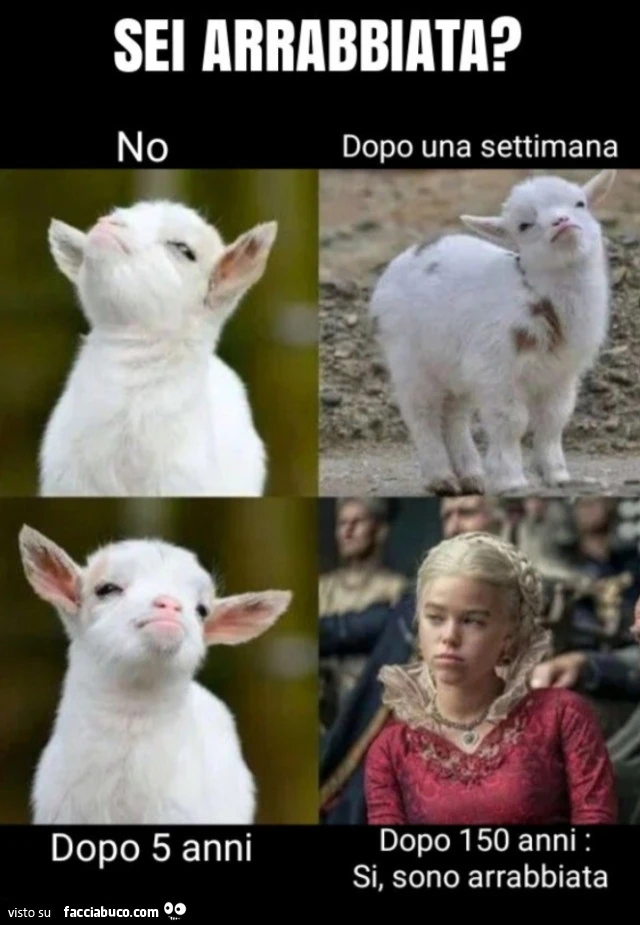 Vaccata