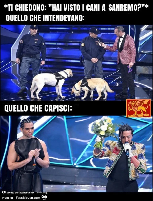 *ti chiedono: "hai visto i cani a sanremo? "* Quello che intendevano